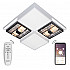 Потолочная люстра HIGH-TECH LED LAMPS HIGH-TECH LED LAMPS 82011