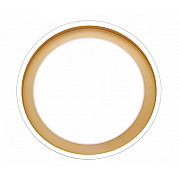 Потолочная люстра LED LAMPS LED LAMPS 81301