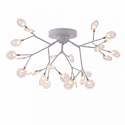 Потолочная люстра Florencia FR5049CL-27W