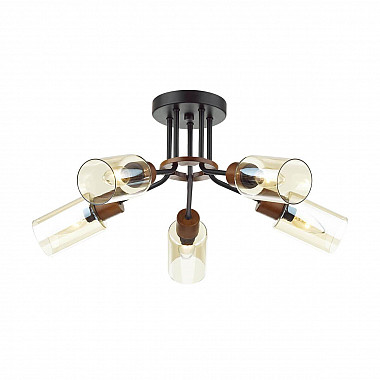 Потолочная люстра Lumion Fern 4492/5C