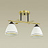 Потолочная люстра Lumion Becky 4544/2C