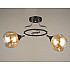 Потолочная люстра SS1N 000029977