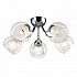 Потолочная люстра Lumion Brinna 3071/5C