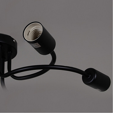 Потолочная люстра 01742-0.3-06 BK