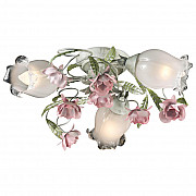 Потолочная люстра Odeon Light Ameli 2252/3C