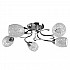 Потолочная люстра Arte Lamp Stefania A6055PL-5CC