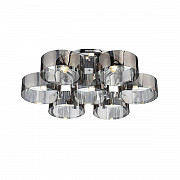 Потолочная люстра Evoluce Foresta SL483.702.07