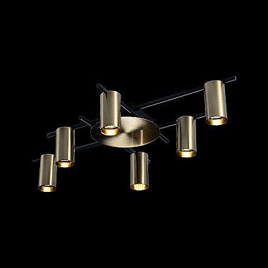 Потолочная люстра Loft IT Tribes 8120C-6