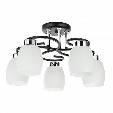 Потолочная люстра Arte Lamp Krit A4505PL-5BK