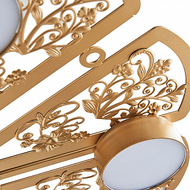 Потолочная светодиодная люстра Favourite Ornamentum 2605-6C