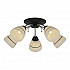 Потолочная люстра Toplight Winnifred TL1255D-05BC