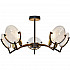 Потолочная люстра Toplight Roxana TL1194X-05BK