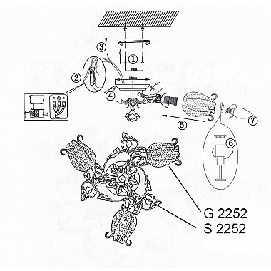 Потолочная люстра Odeon Light Ameli 2252/3C