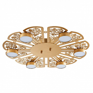 Потолочная светодиодная люстра Favourite Ornamentum 2605-6C