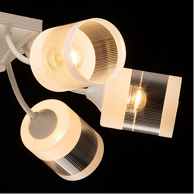 Потолочная люстра Вита 220014406