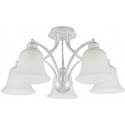 Потолочная люстра Napoli-1254 331254/5 WT+SL