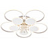 Потолочная люстра Aurora 10228/10LED