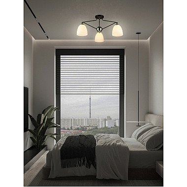 Потолочная люстра SS1N 000023558