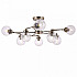 Потолочная люстра Daisy FR5041PL-08BS