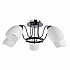 Потолочная люстра Arte Lamp Florentino A7144PL-5BK