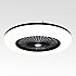 Потолочная люстра Moonlight LSP-7463