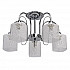 Потолочная люстра MW-Light Олимпия 106010805