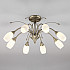 Потолочная люстра Ginevra 30280/8