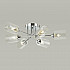 Потолочная люстра Lumion Jerry 4529/6C