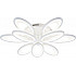 Потолочная люстра Ecla 10242/9LED