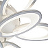 Потолочная люстра Ecla 10242/9LED