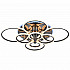 Потолочная светодиодная люстра Evoled Cerina SLE500582-08RGB