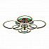 Потолочная светодиодная люстра Evoled Cerina SLE500582-08RGB