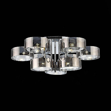 Потолочная люстра Evoluce Foresta SL483.702.09