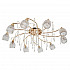 Потолочная люстра MW-Light Подснежник 294016710