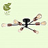 Потолочная люстра Lussole Lgo Huron GRLSP-8200