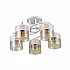 Потолочная люстра Hiper Vivid H185-5
