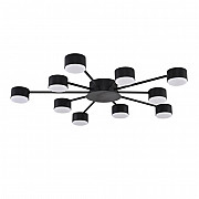 Потолочная люстра Torina 8344/10C