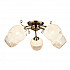 Потолочная люстра IMEX MD.4036-5-S AB