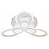 Потолочная люстра Alruba 10269/6LED