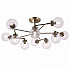 Потолочная люстра Daisy FR5041PL-10BS