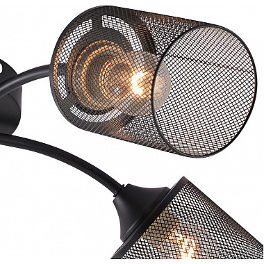 Потолочная люстра 01624-0.3-05 BK