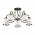 Потолочная люстра Lumion Bruni 3226/5C