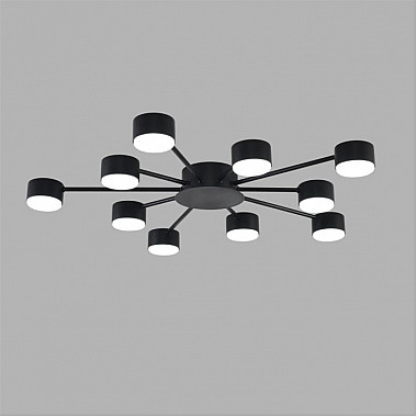 Потолочная люстра Torina 8344/10C