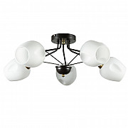 Потолочная люстра Arte Lamp Brighton A2706PL-5CK