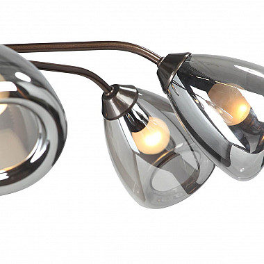 Потолочная люстра Vitaluce V4955-7/6PL