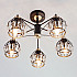 Потолочная люстра Lord 70075/5 черный