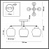 Потолочная люстра Lumion Desiree 5224/4C