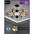 Потолочная люстра Seven Fires Alona SF3335/6C-BK-AB