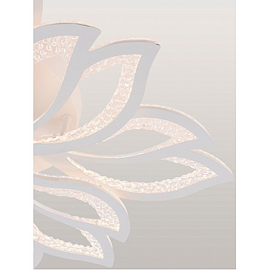 Потолочная люстра Fortuna LED LAMPS 81109/7C