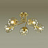 Потолочная люстра Lumion Breana 4556/5C